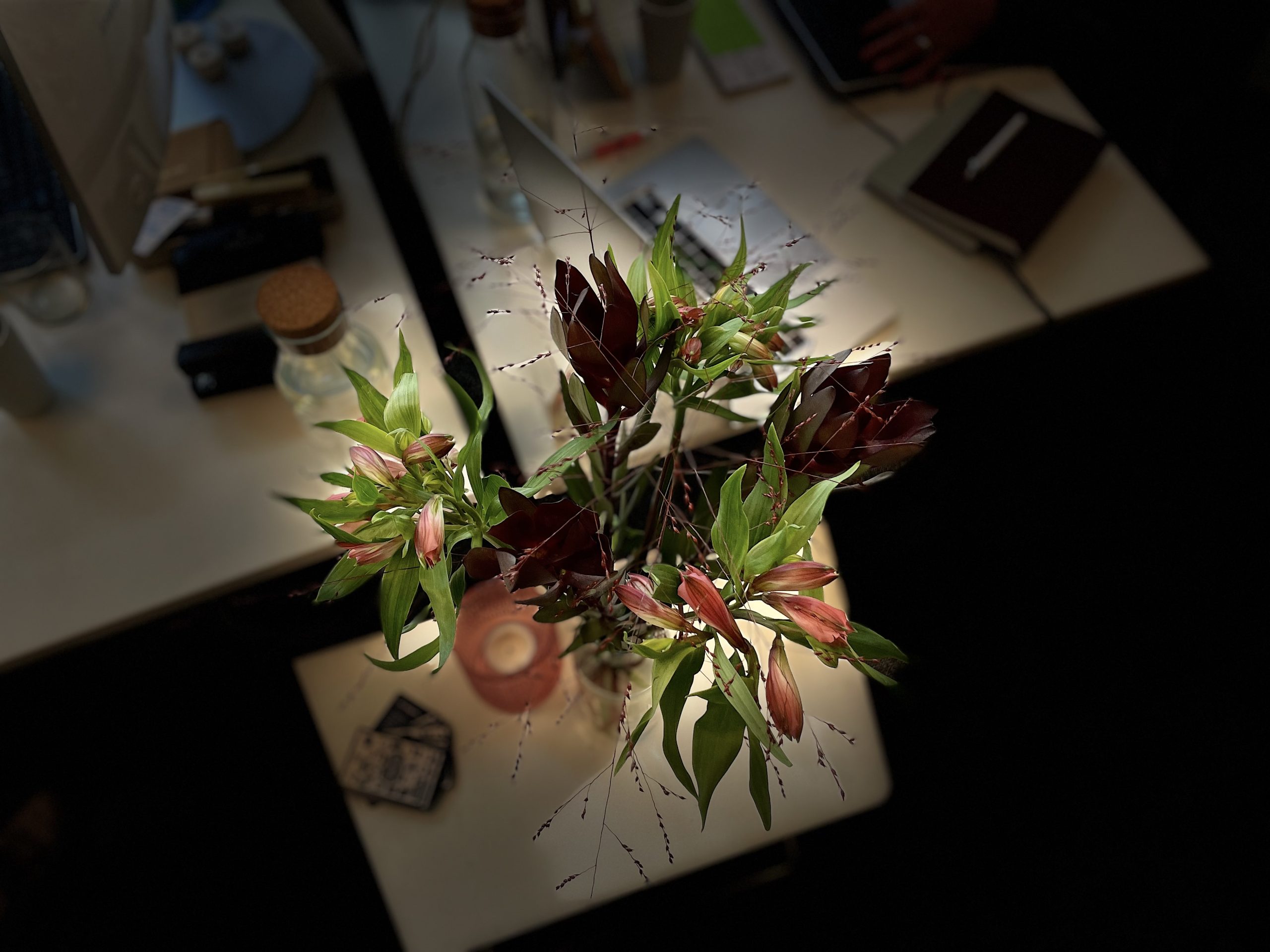Bild 5